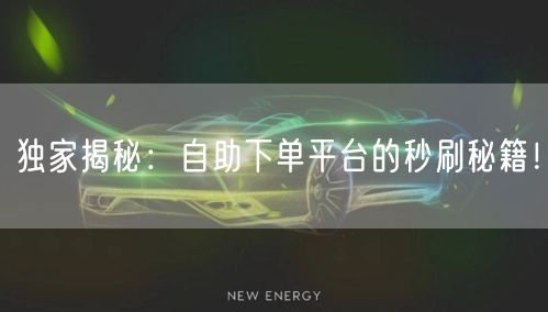独家揭秘：自助下单平台的秒刷秘籍！