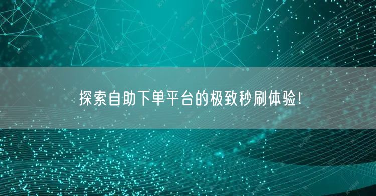 探索自助下单平台的极致秒刷体验！