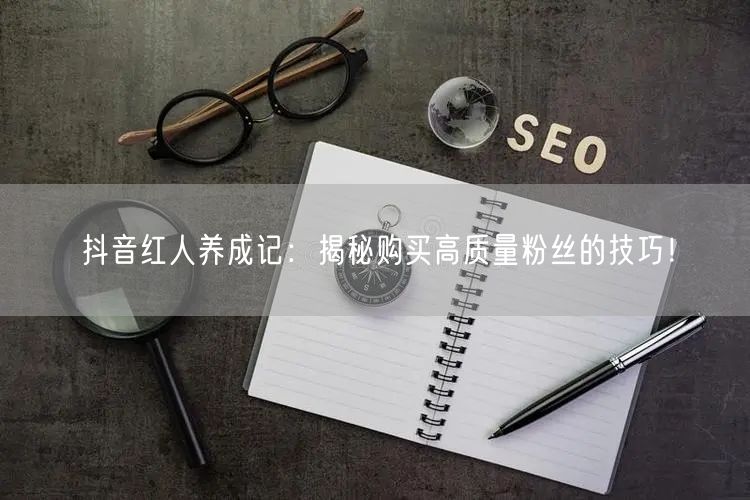 抖音红人养成记：揭秘购买高质量粉丝的技巧！