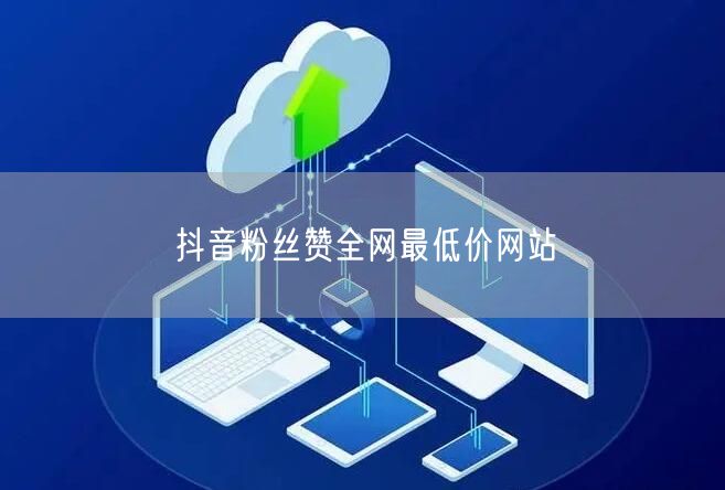 抖音粉丝赞全网最低价网站