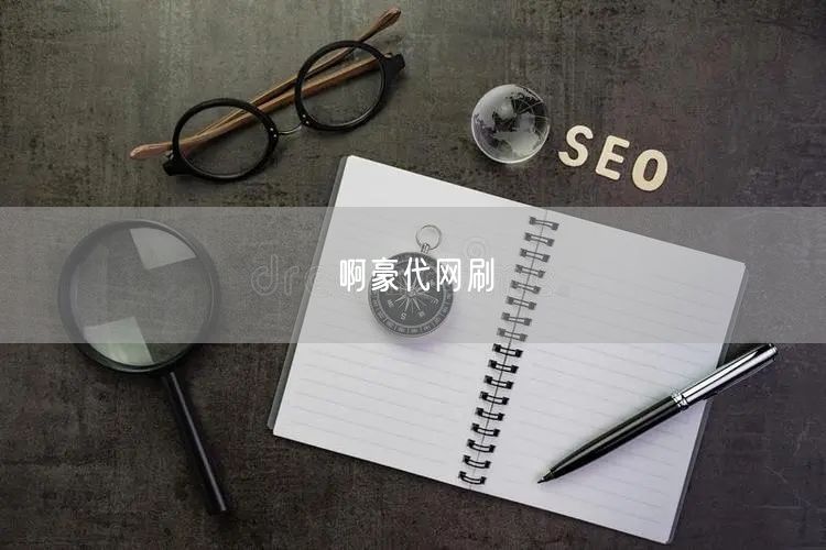 啊豪代网刷