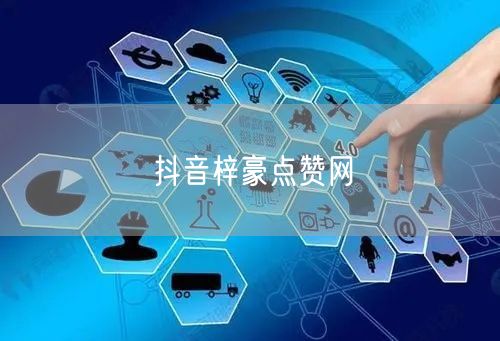 抖音梓豪点赞网