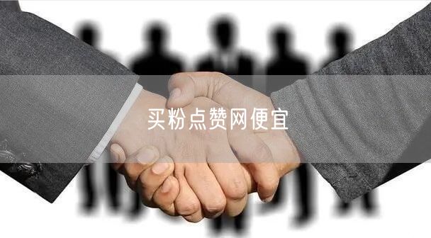 买粉点赞网便宜